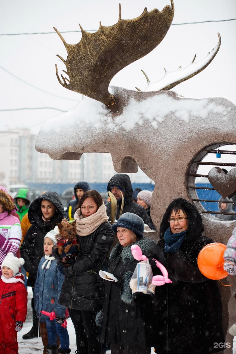 Новое сертолово новости