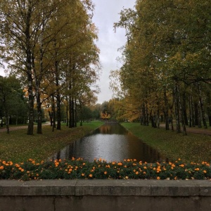 Фото от владельца Московский парк Победы