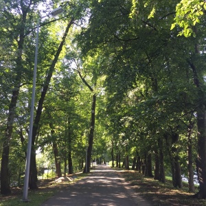 Фото от владельца Центральный парк культуры и отдыха им. С.М. Кирова