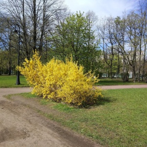 Фото от владельца Московский парк Победы