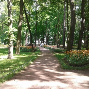 Фото от владельца Центральный парк культуры и отдыха им. С.М. Кирова