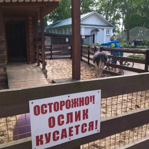 Фото от владельца Центральный парк культуры и отдыха им. С.М. Кирова