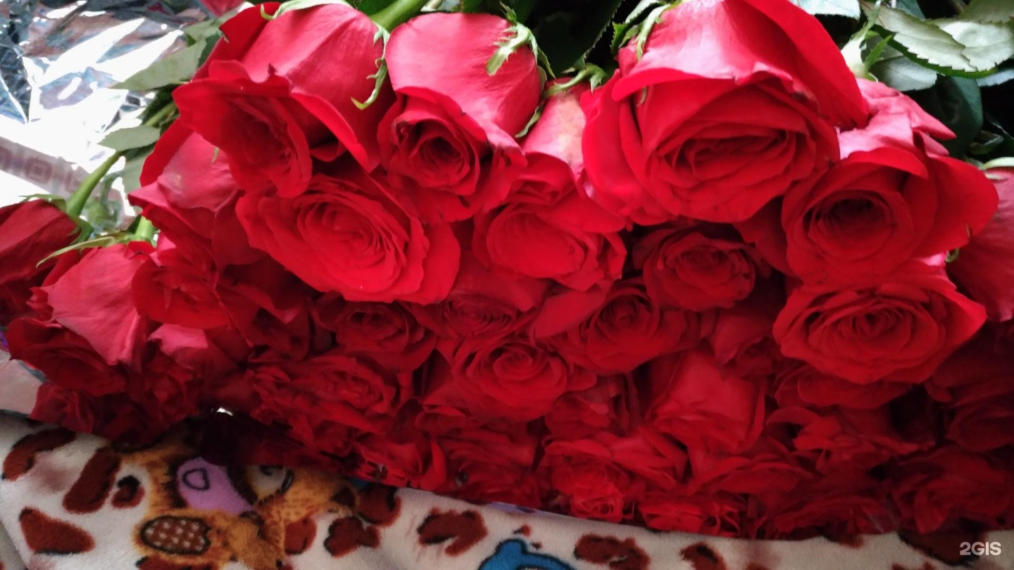 цветы нефтеюганск