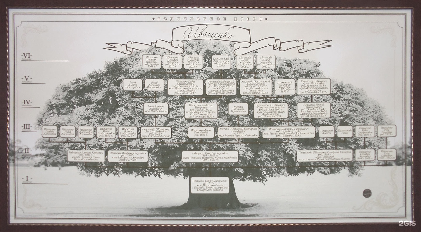 Древо стар. Дерево фамилии. Генеалогия компания. Генеалогическое дерево схема. Генеалогическое дерево в древнем стиле.
