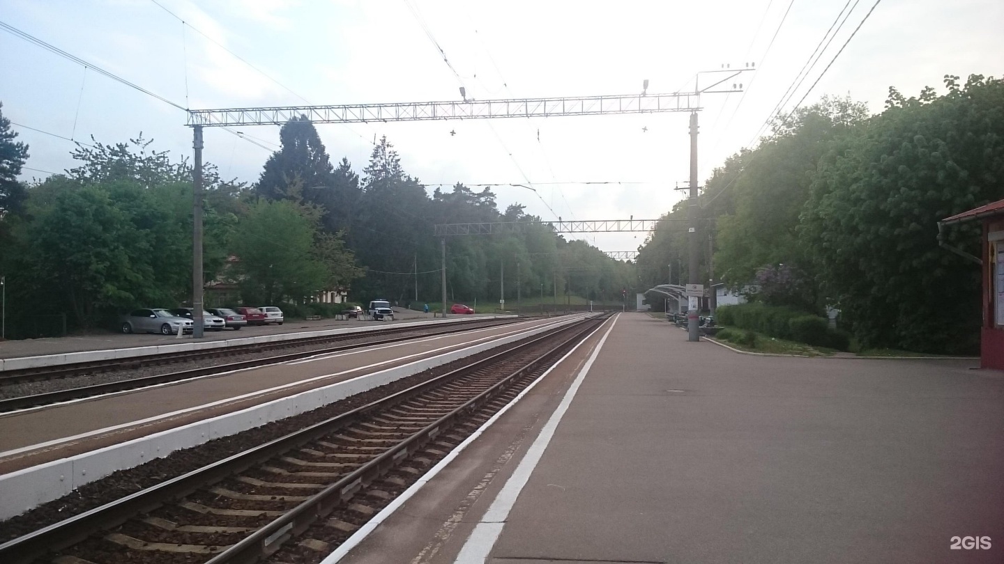 Рп5 светлогорск. Светлогорск 1 вокзал. Светлогорск Вокзальная 4. Светлогорская 1. Дизель на станции Светлогорск.