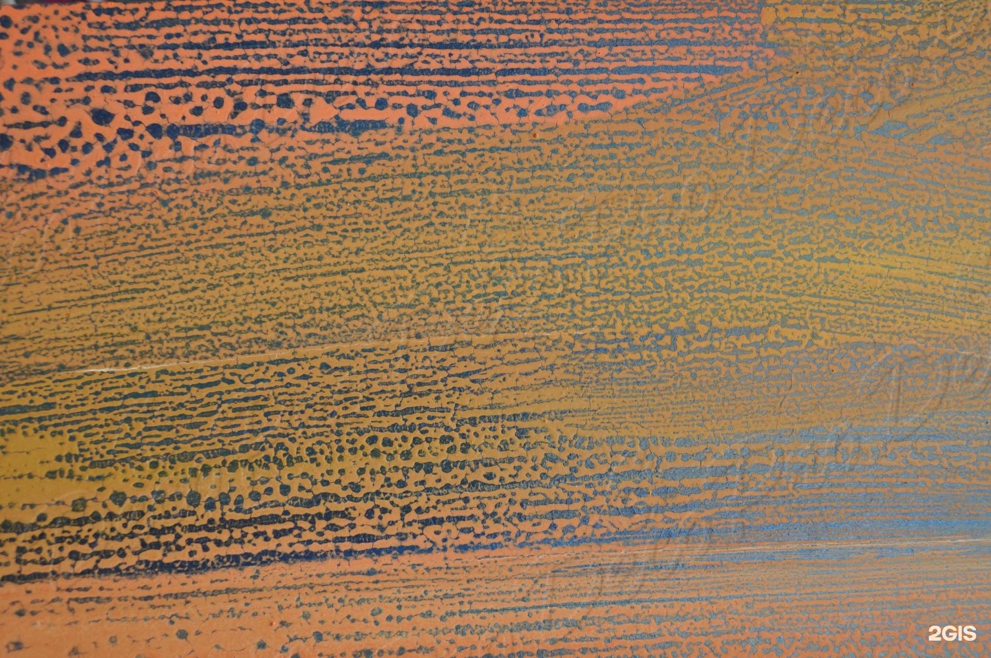 странные деревья. придать причудливую. ева топиарная стрижка. скульптура из дерева на природе. таксодиум мексиканский дерево.