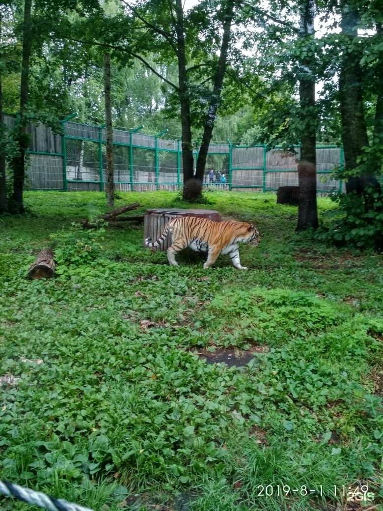 Пензенский зоопарк отзывы