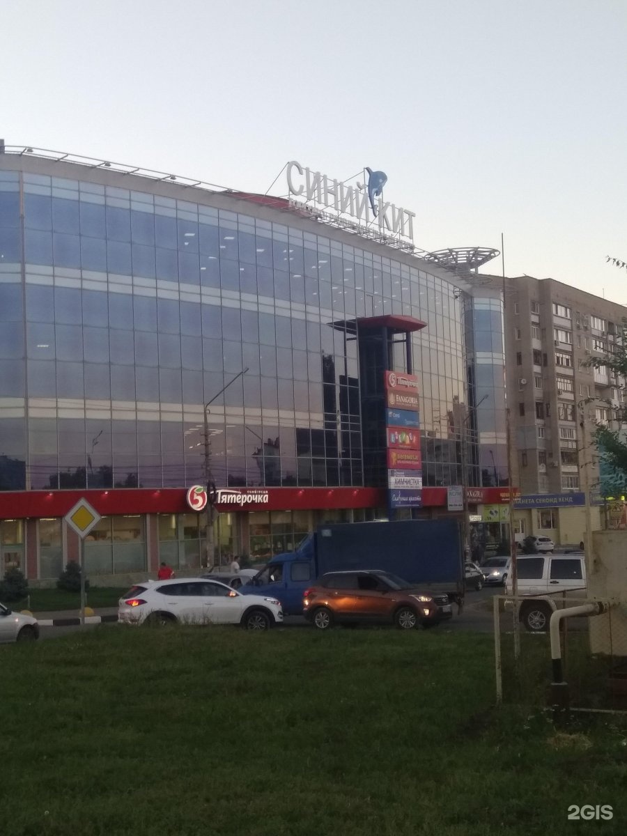 Синий кит просп победы 19а фото