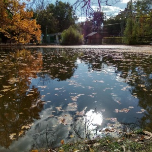 Фото от владельца Городской парк