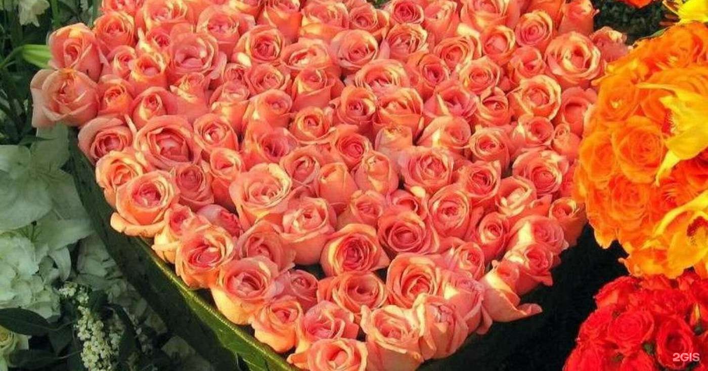 Миллион роз купить. Охапка роз. Самые большие букеты. Много роз. Самые большие букеты роз.