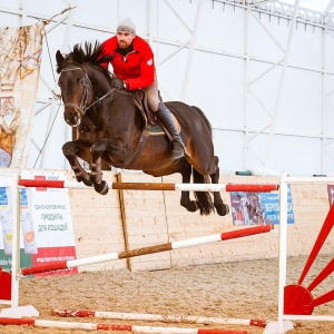 Фото от владельца Мариарт, конно-спортивный клуб