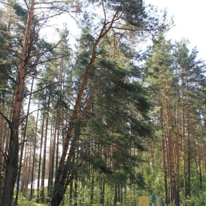 Фото от владельца Княжья речка, загородный комплекс отдыха