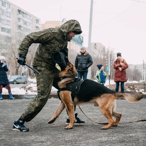 Фото от владельца I Love Pets, школа для собак