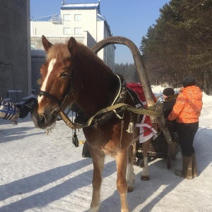 Фото от владельца Притомье, центр отдыха