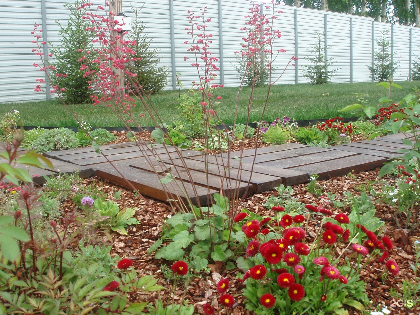 Питомник ивушка хыркасы. Питомник Ивушка, Чебоксары. Garden Plants питомник растений. Ивушка питомник садовых растений Кемерово.