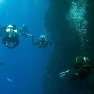 Фото от владельца Липецкий Подводный Клуб, учебно-коммерческий центр