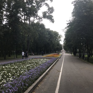 Фото от владельца Новокузнецкий парк культуры и отдыха им. Ю.А. Гагарина