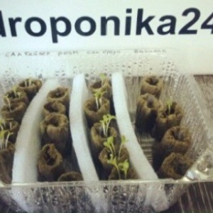 Фото от владельца Gidroponika24.ru, магазин товаров для прогрессивного растениеводства