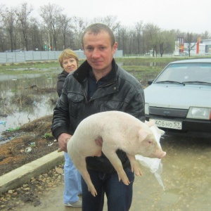 Фото от владельца Подворье, Орловская региональная сельхозярмарка