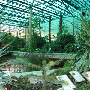 Фото от владельца Botanika, ботанический сад