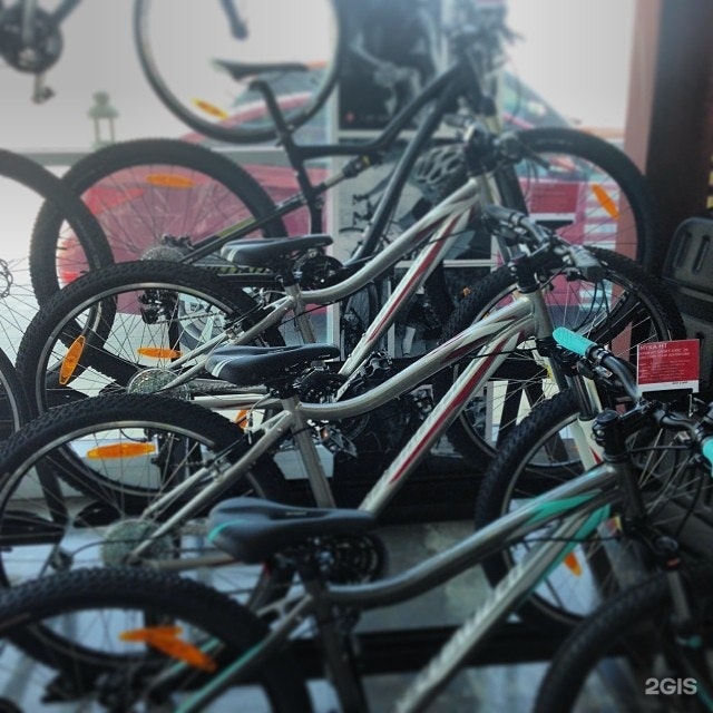 hub cycle shop