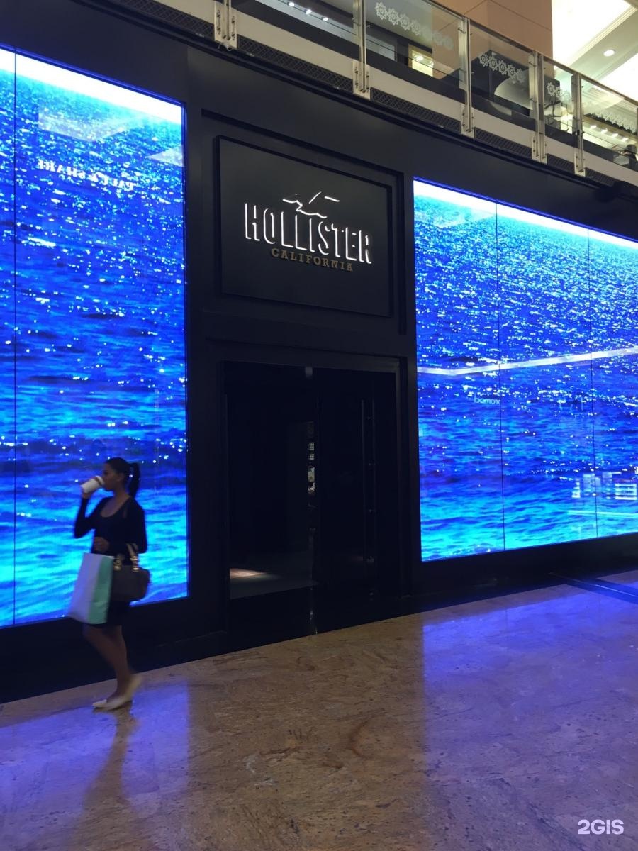 hollister moe