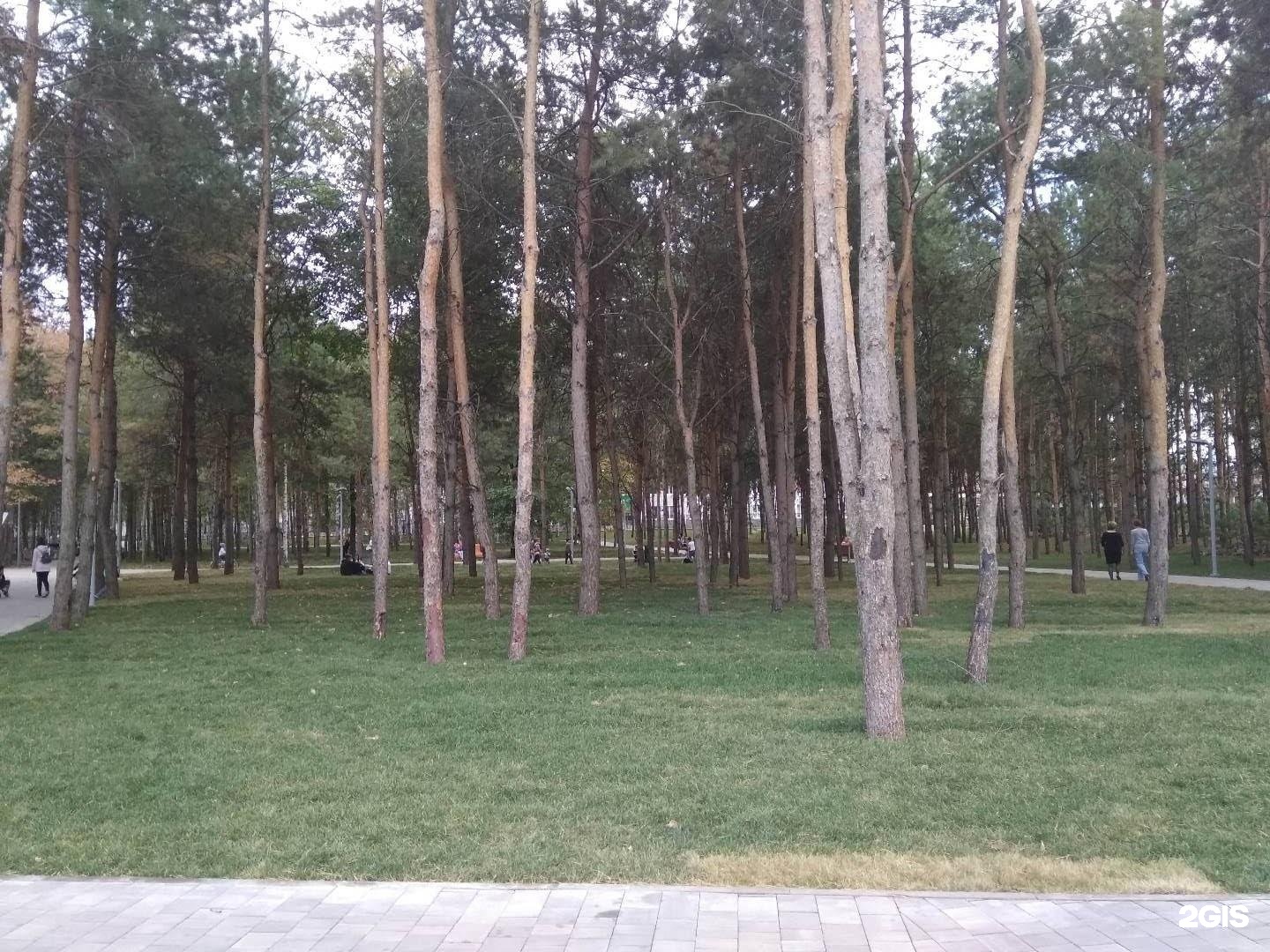 Парк здоровья альметьевск