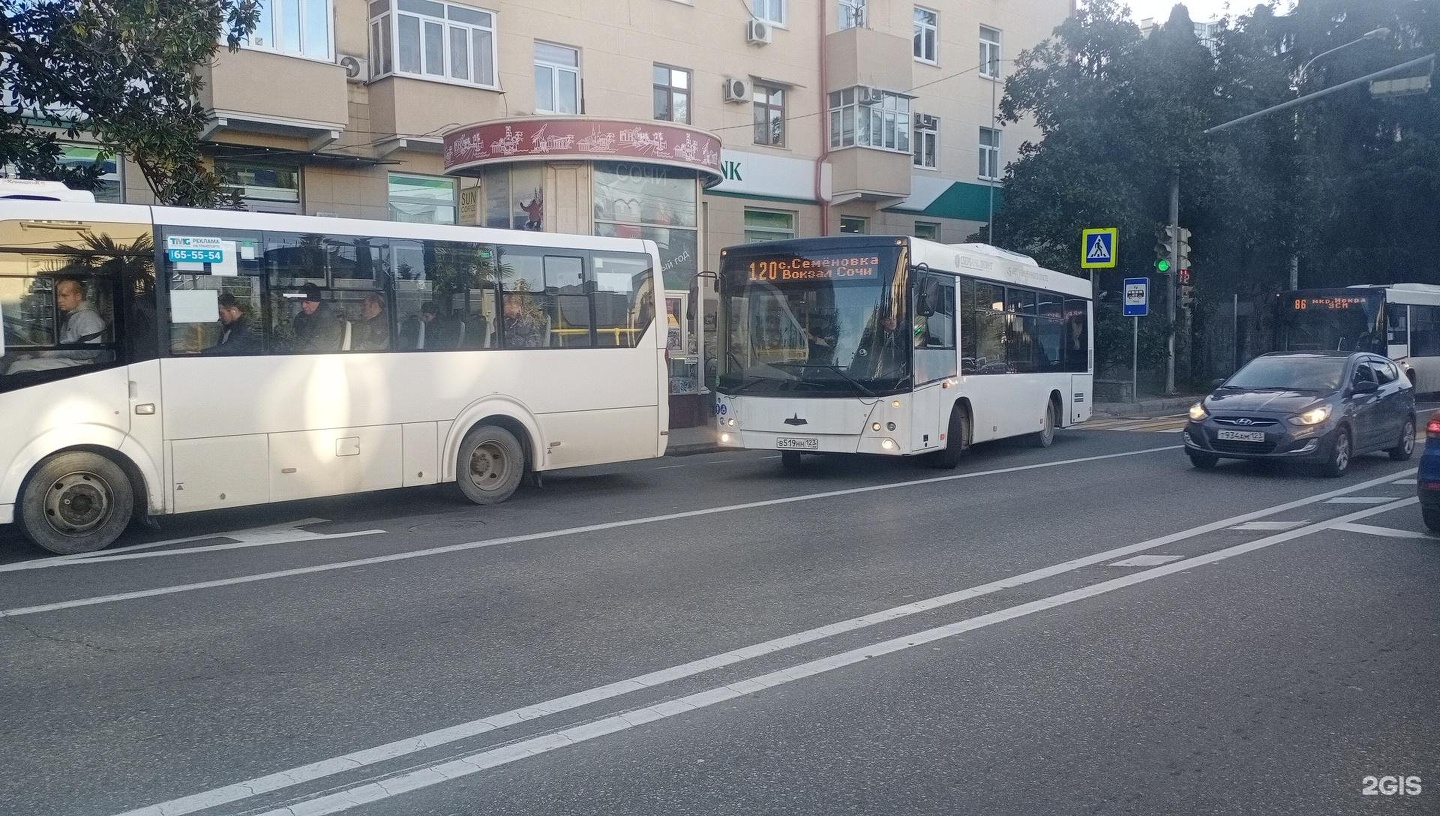 Автобусы сочи в реальном времени. Автобус МАЗ 203 Сочи. Автобус 120. Автобус 88 Сочи. Автобус 120 Сочи.