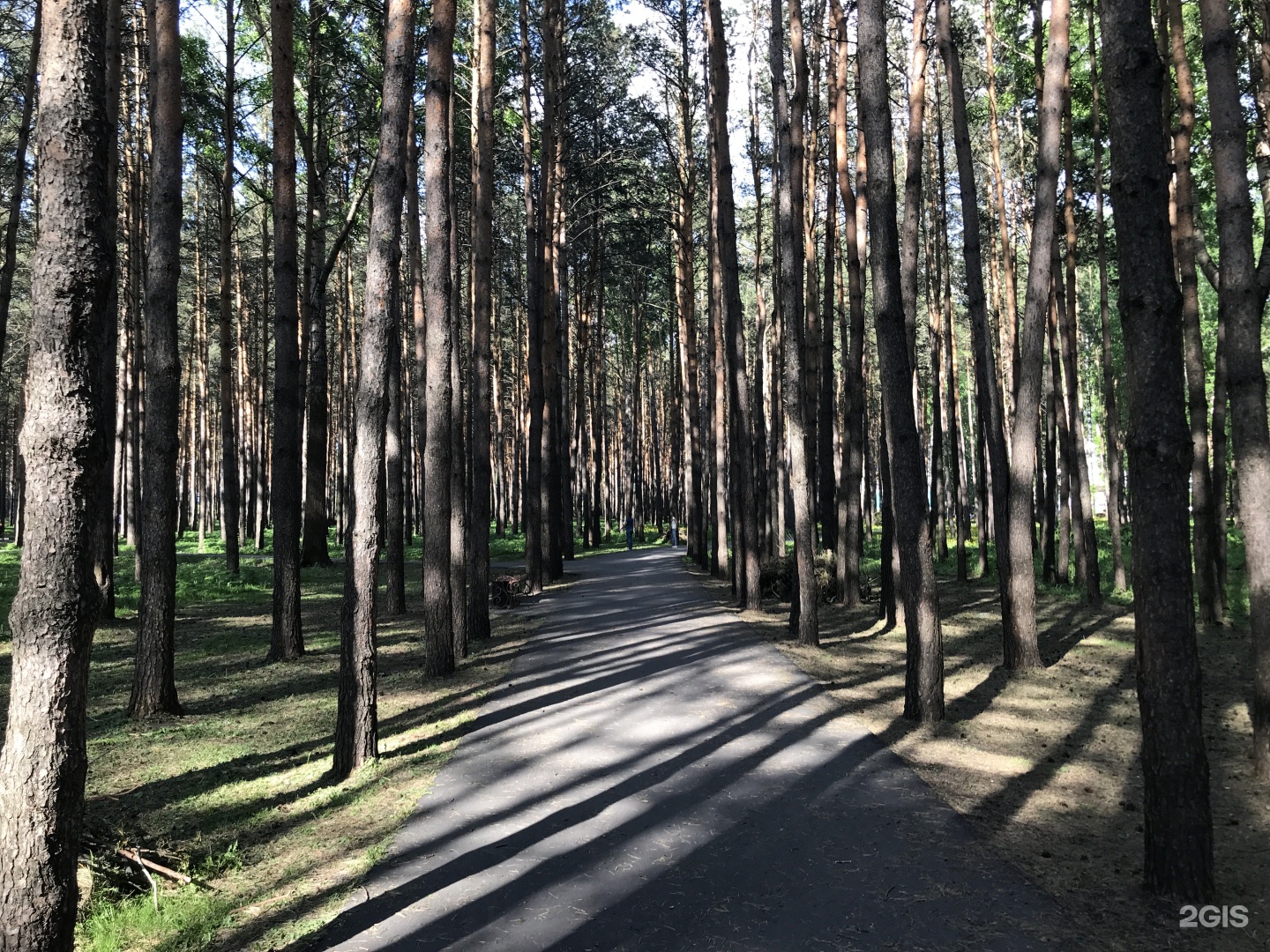 тырганский парк прокопьевск