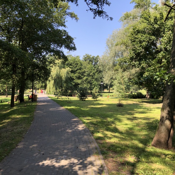 Зеленоградск городской парк фото