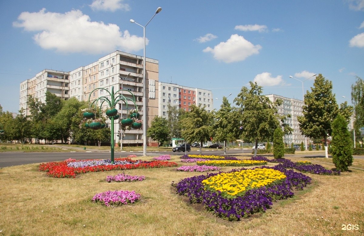 Цветы старый оскол. Сквер старый Оскол. Сквер Пушкина старый Оскол. Парк Металлургов старый Оскол. Парк Олимпийский старый Оскол.