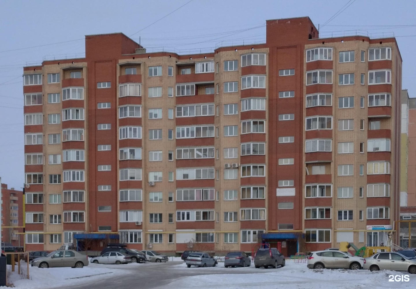 Стоматоша московский 114. Стоматоша московский 114