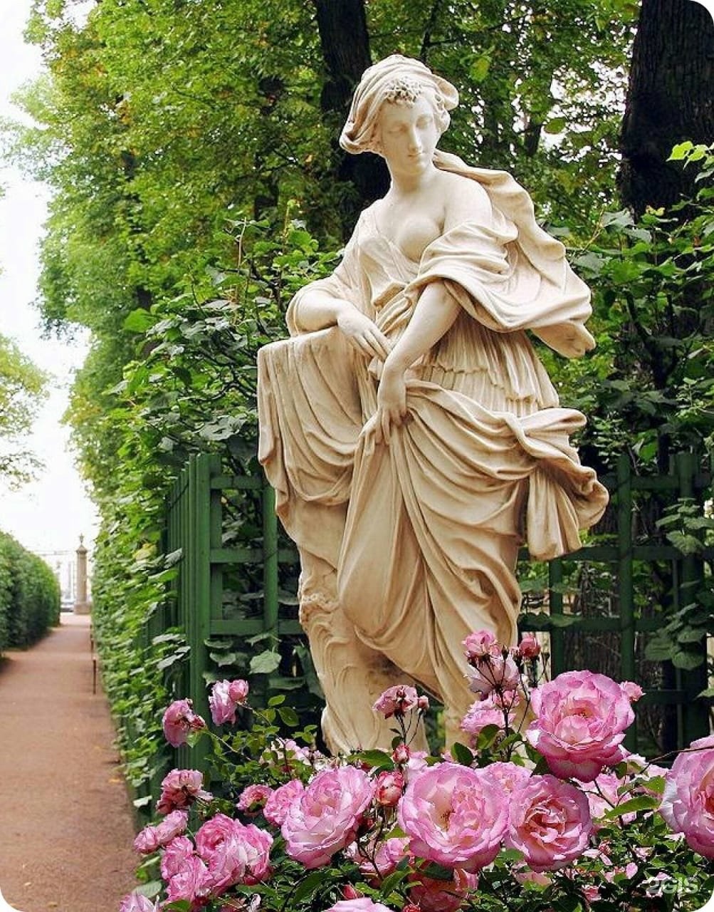 Розарий летнего сада в Петербурге