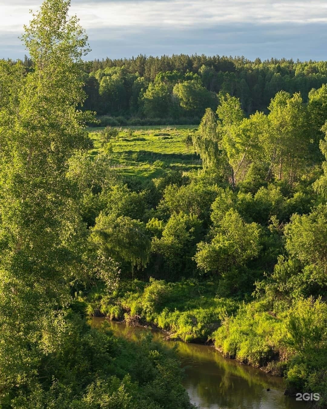 Сузун Новосибирская область природа