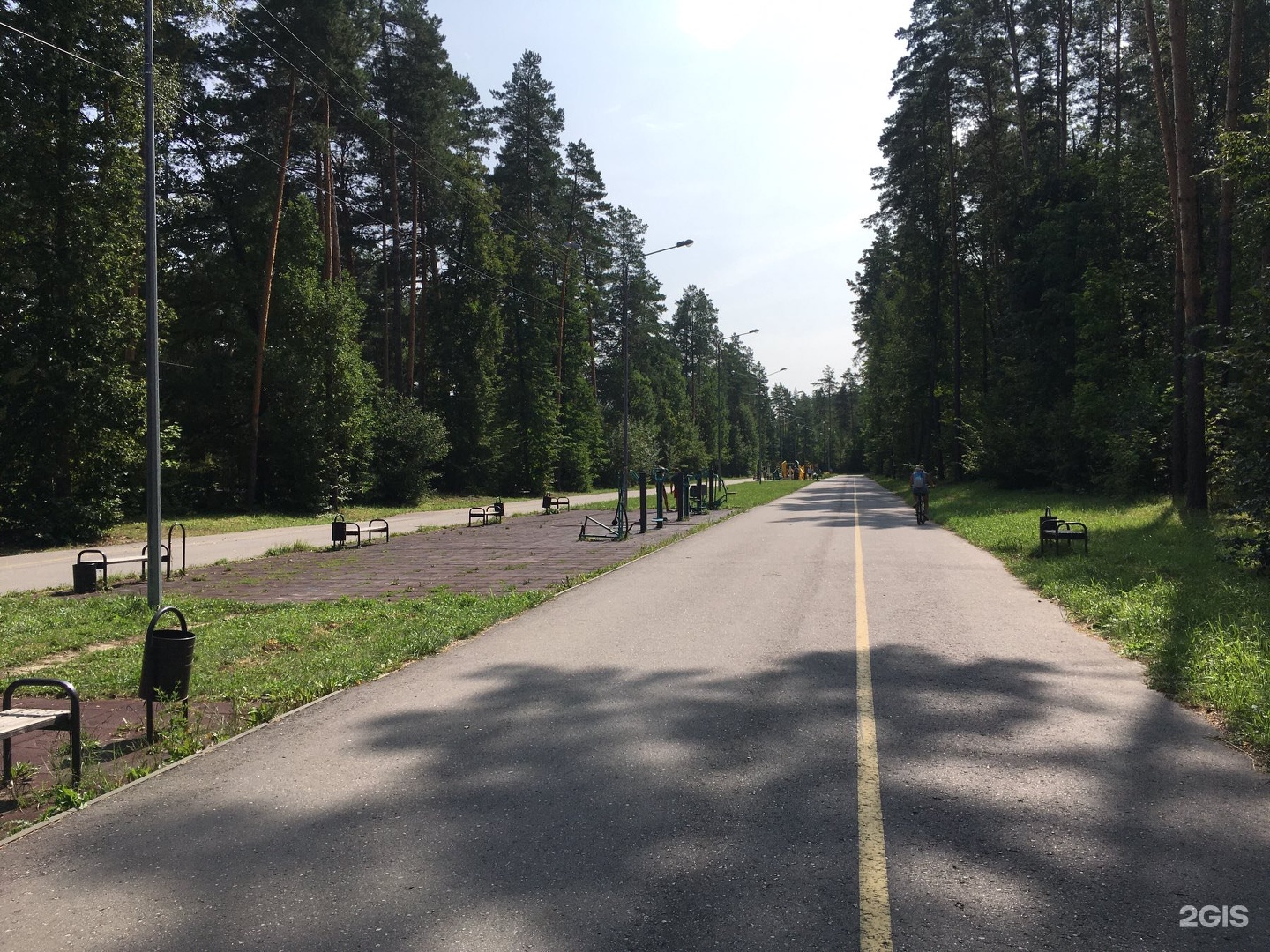 Ахуны пенза. Тропа здоровья Пенза. Тропа здоровья Пенза парк Белинского зимой. Тропа здоровья Пенза Спутник зимой. Тропа здоровья Нечкино.