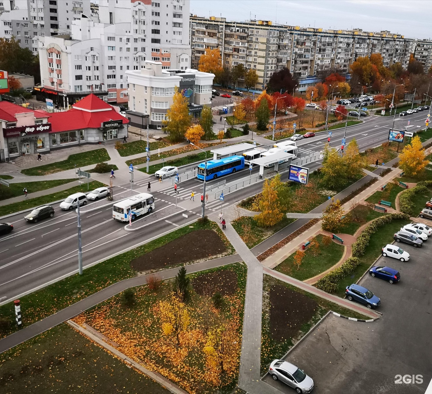 Промедика щорса 48 белгород фото