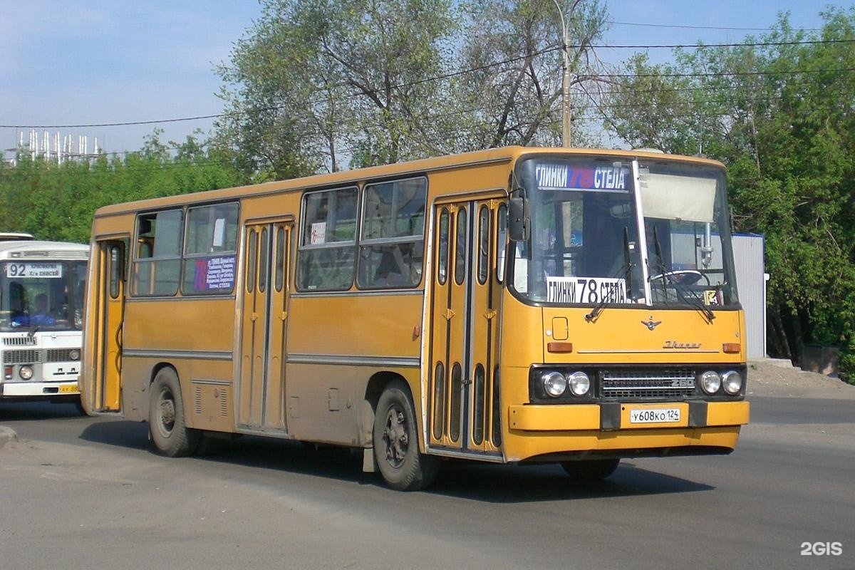 Автобус 78. Икарус 260 Красноярск. Икарус 260 1998. Икарус 280 Красноярск. Автобус Икарус Красноярск.