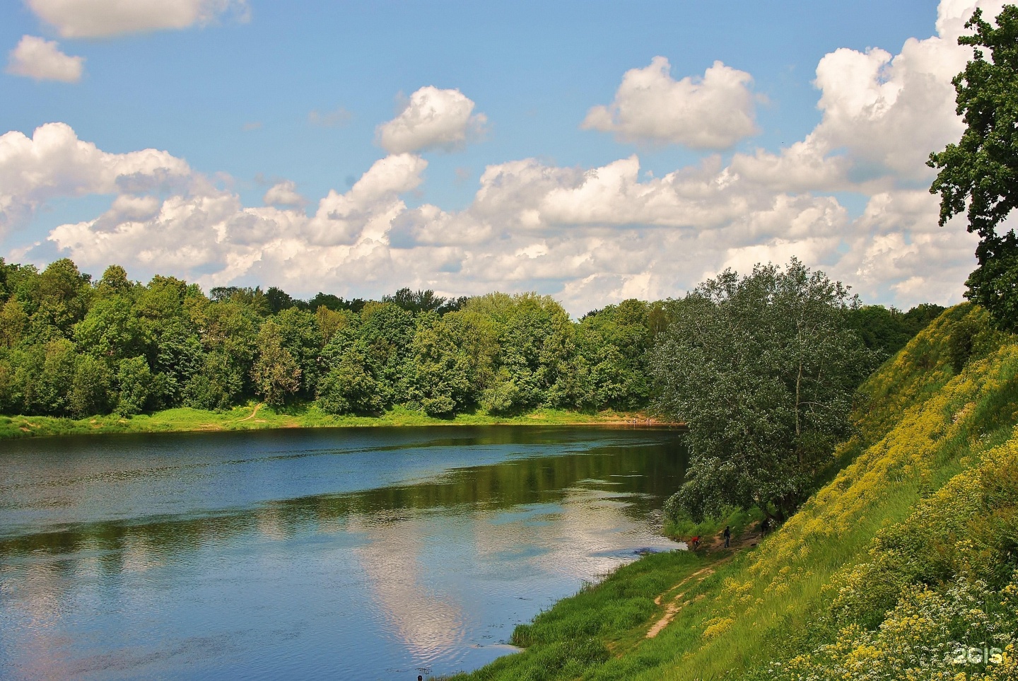 Фото Реки Луги