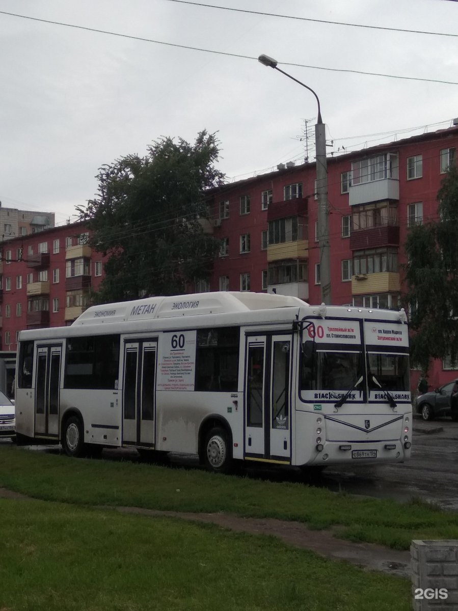 43 автобус новосибирск маршрут. 60 Автобус Новосибирск. Автобус 29 Новосибирск. 43 Автобус Новосибирск. Маршрутка 29а Новосибирск.