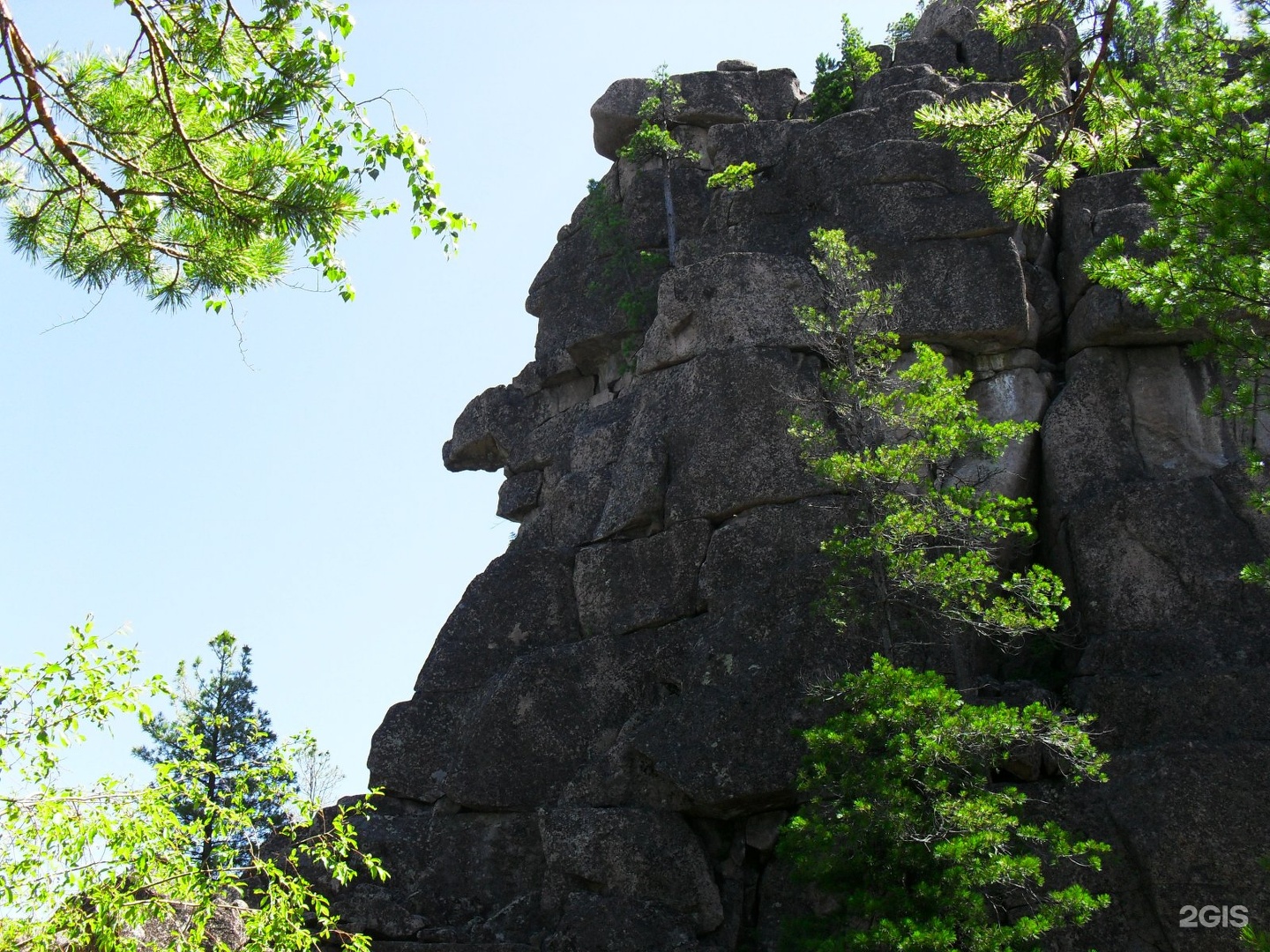 Скальник Витязь Иркутск Фото