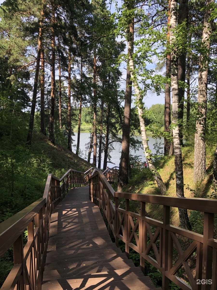 Гилевская роща тюмень