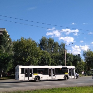 Парк победы 339 автобус