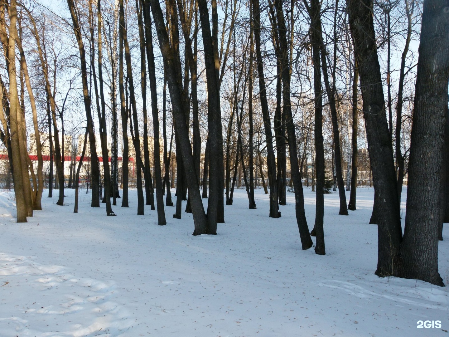 Парк гастелло уфа старые фото