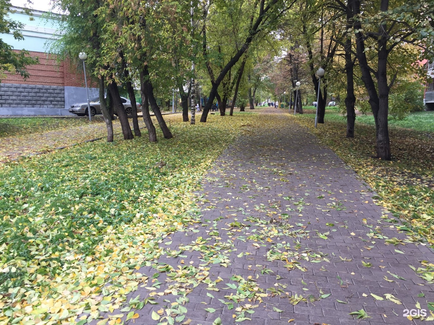 Самарский бульвар. Бульвар Челюскинцев Самара. Аллея Челюскинцев Самара. Штутгартский бульвар Самара. Челюскинцев 17 Самара.