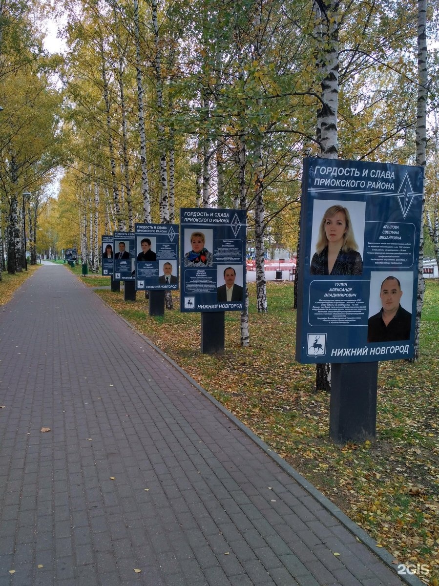 Улица Жукова Нижний Новгород фото