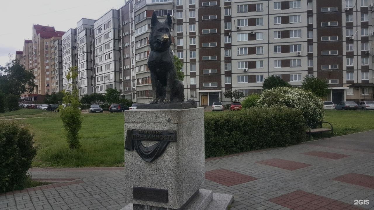 Памятник верному. Памятник собаке в Тольятти. Тольятти памятникверноси. Памятник верному в Тольятти. Памятник преданности Тольятти.