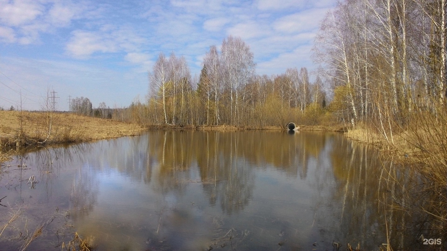 озеро золотая вешка