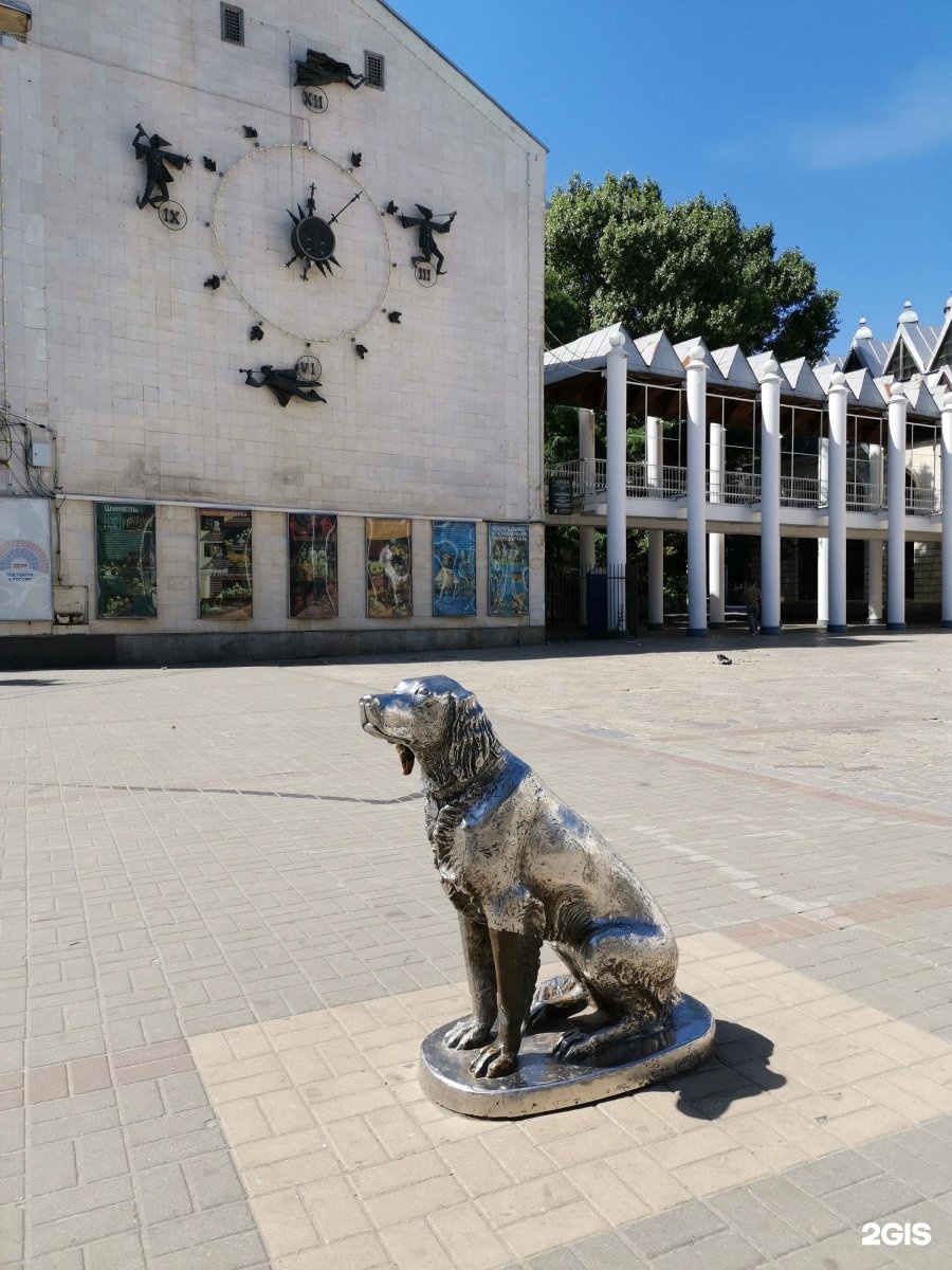 Памятник белому биму в воронеже фото