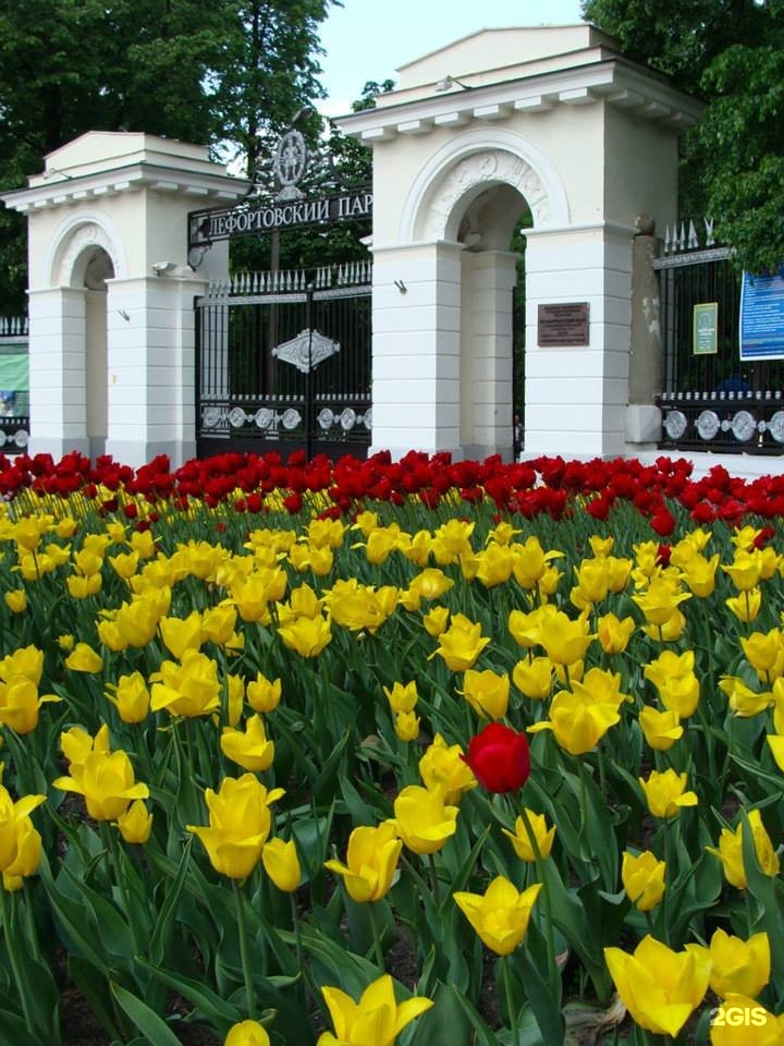 Москва лефортово парк