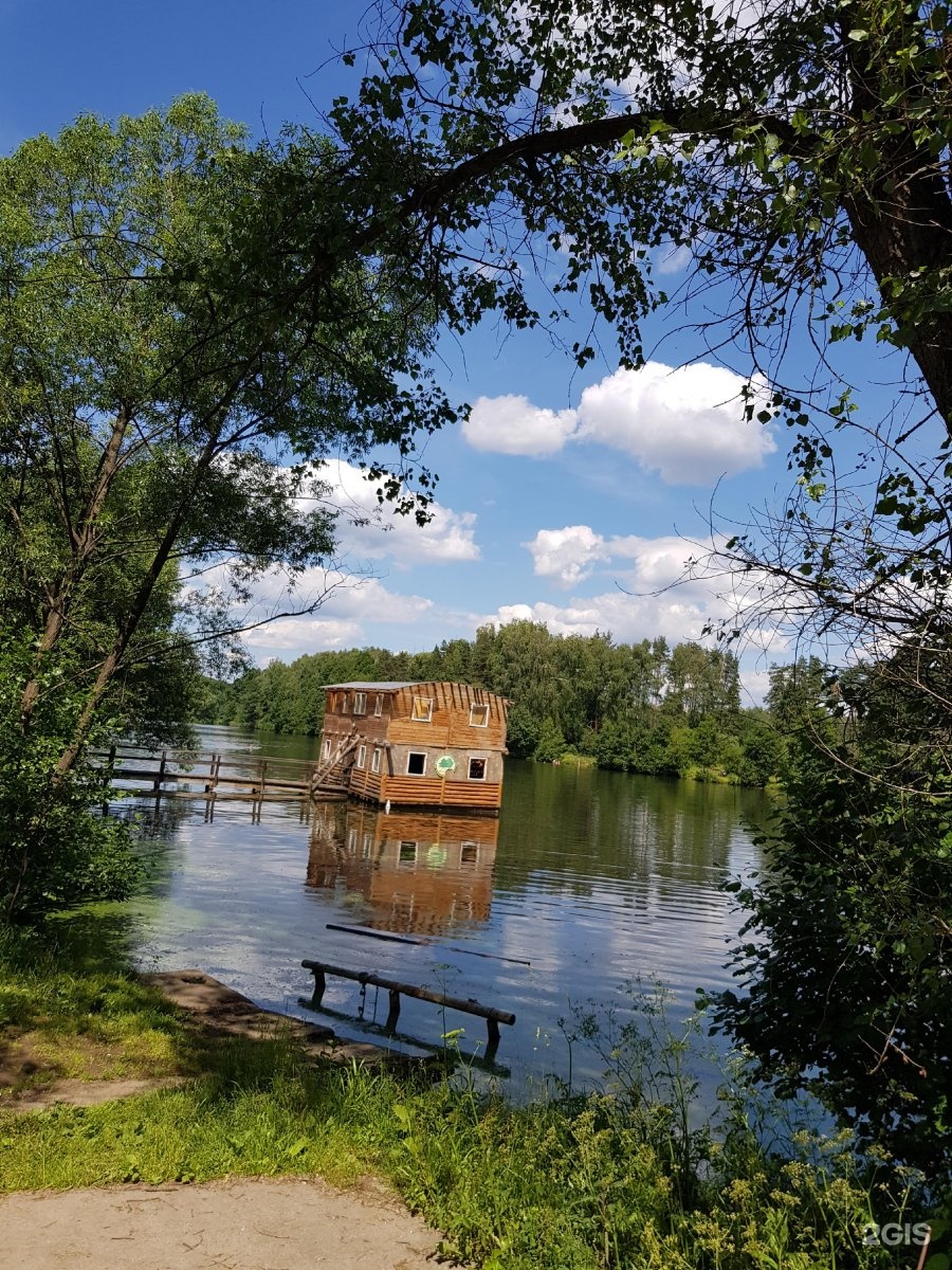 Новокосинский парк фото